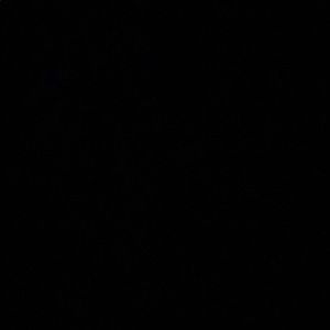 Meet your Posher, Charlee